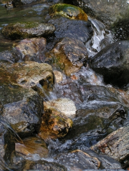 eau mineraux oligoelements Oligothérapie