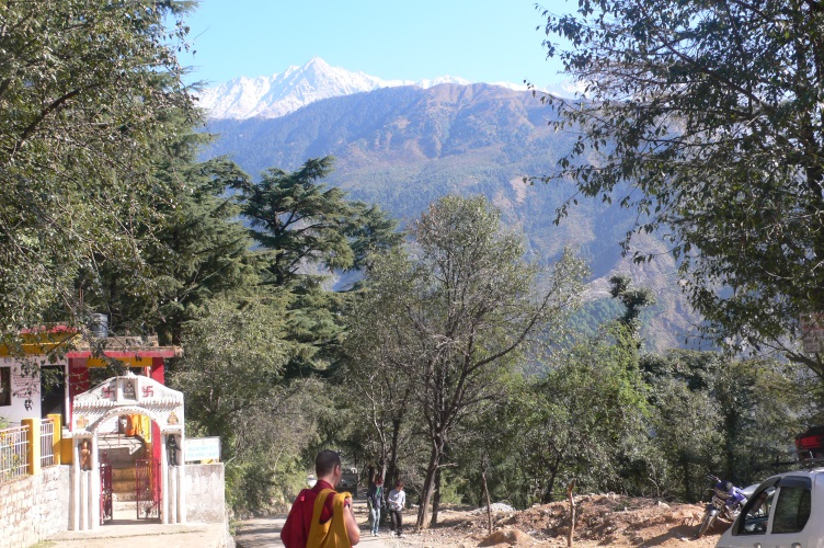 visite-dharamsala-tibet-inde-amelie-kerbiriou-panier-du-bien-etre-st-pol-de-leon-pays-morlaix-finistere-nord-2