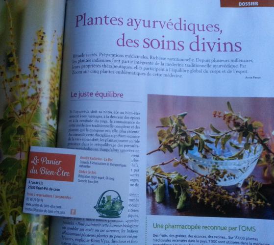 magazine-plantes-sante-offrir-culture-noel-2