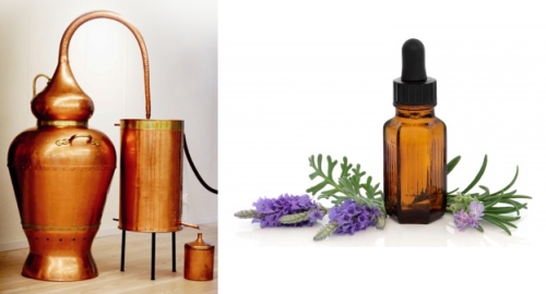 aromatherapie huiles essentielles Diffuseurs Huiles Essentielles