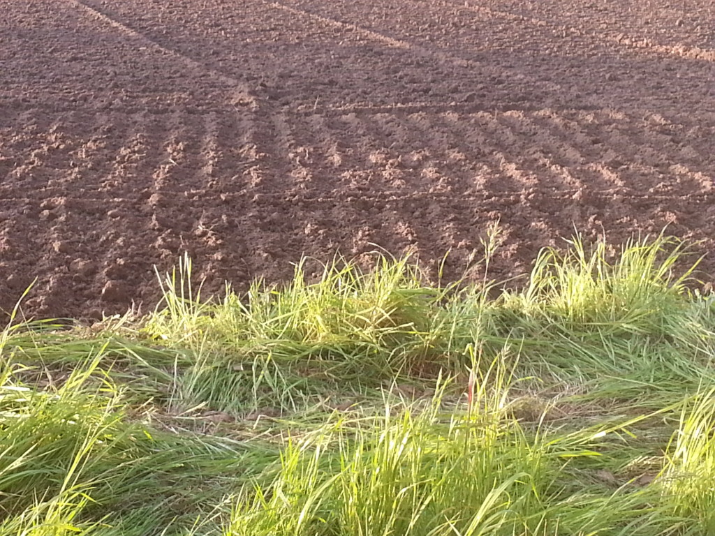 agriculture-respect-nature-terre