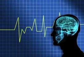 activite cerebrale Problématique des ondes électromagnétiques