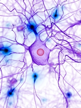 interactions biochimiques dans notre organisme2 Problématique des ondes électromagnétiques