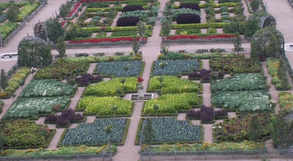 Herboristerie : jardins médiévaux de plantes médicinales