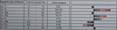 analyse-minerale-organisme-panier-bien-etre-st-pol-de-leon-finistere-bretagne-1