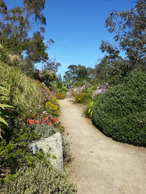 jardin-exotique-roscoff-naturel-tourisme-bien-etre-haut-leon-3