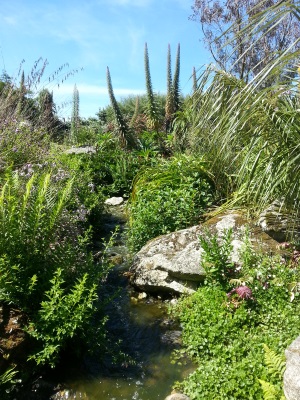 jardin-exotique-roscoff-naturel-tourisme-bien-etre-haut-leon-6