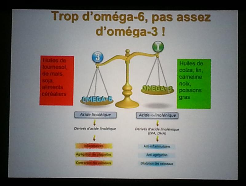 congres-international-protection-sante-naturelle-2015-paris-ipsn-panier-bien-etre-st-pol-de-leon-finistere-16