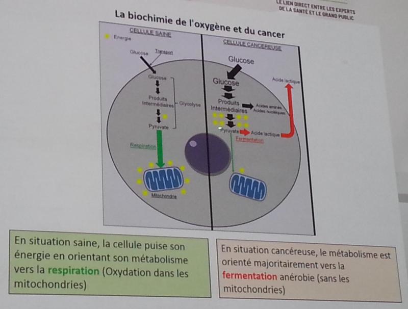 congres-international-Institut-Protection-Sante-Naturelle-IPSN-2018-Marseille-panier-du-bien-etre-bretagne-3-docteur-laurent-schwartz-FR-cancer-2