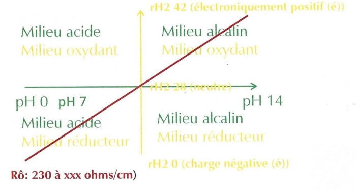 bio-électronique de Vincent : biochimie organique