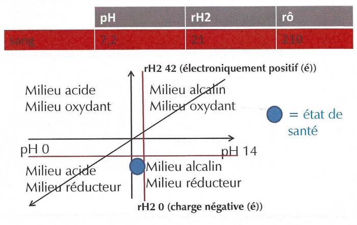 bio-électronique de Vincent