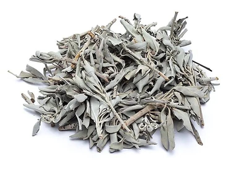 Feuilles de sauge blanche séchées, prêtes à s'offrir au feu...