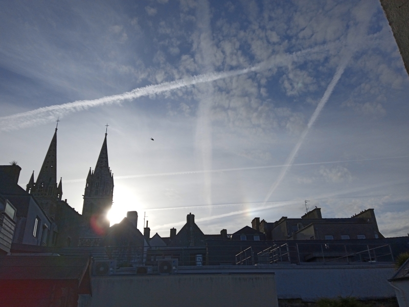 IMG_20220518_081305_1