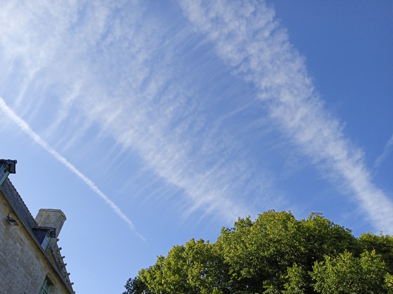 IMG_20220804_094358_1