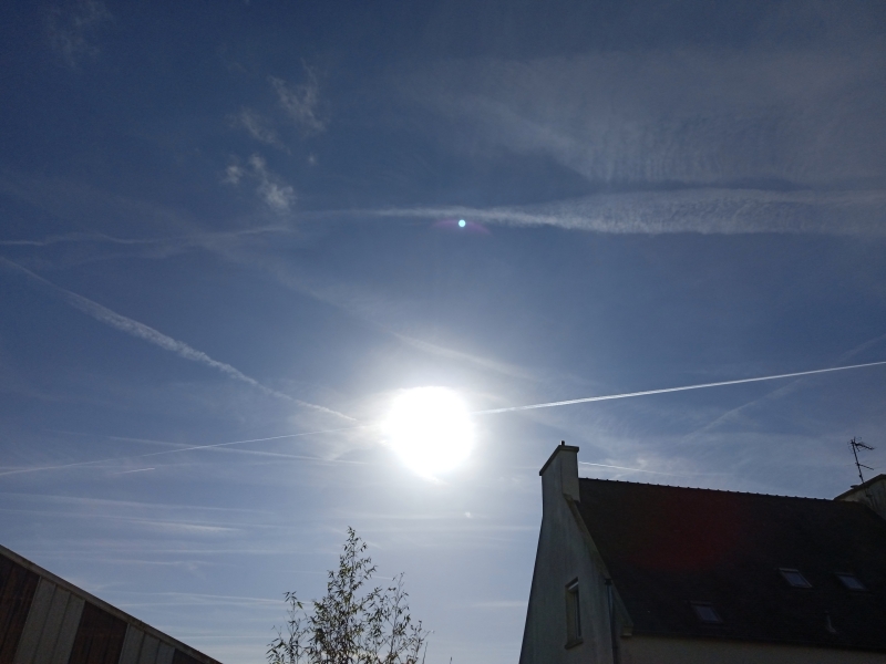 IMG_20220826_094729_1